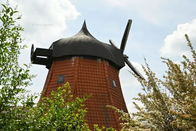 Mühlen in Niedersachsen (Foto: Katja Woidtke)

Zweidorfer Windmühle in Wendeburg | Foto: Katja Woidtke