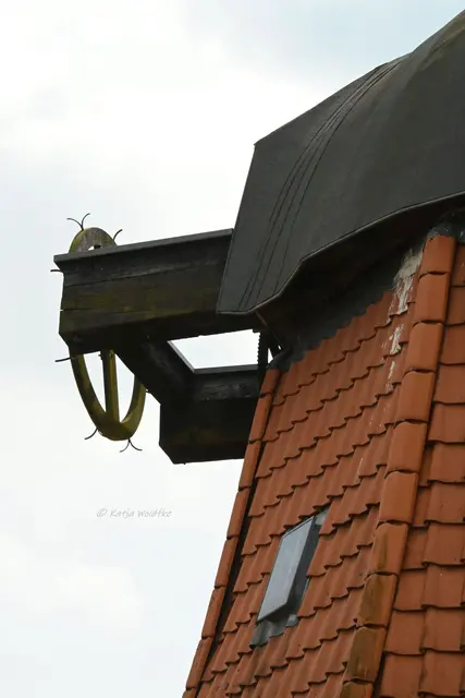 Mühlen in Niedersachsen (Foto: Katja Woidtke)

Zweidorfer Windmühle in Wendeburg | Foto: Katja Woidtke