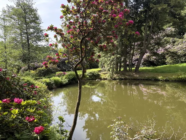 Vorwerteich , Idylle pur 