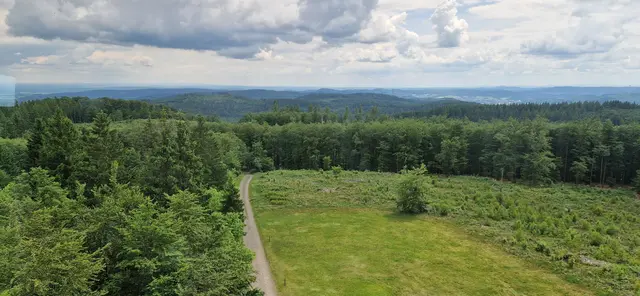 Weg vom Turm zum Parkplatz ca. 1 km