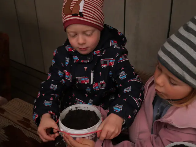 Ein Mini Gewächshaus aus Frischhaltefolie soll der Pflanze helfen zu wachsen