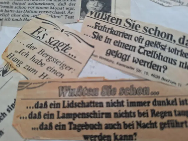 Ein recht guter Erfolg. 