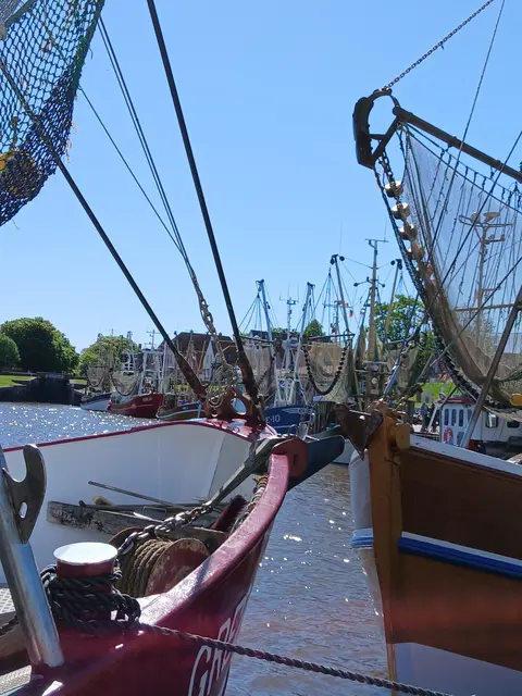 Fischerboote im Hafen von Greetsiel | Foto: Siegmund Walter, 08.05.2026, 15:24 Uhr