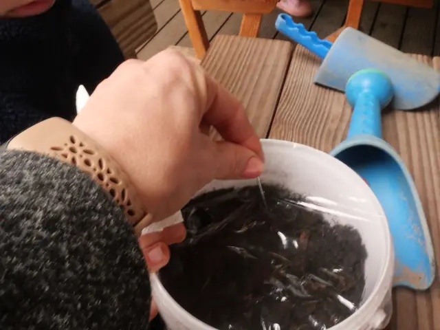 Aus kleinen Samen wachsen große Pflanzen