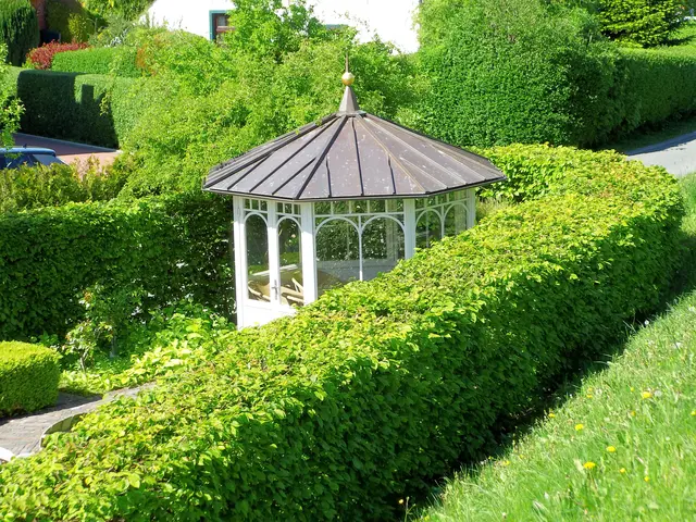 Gartenpavillon in Greetsiel | Foto: Siegmund Walter, 08.05.2026, 15:35 Uhr
