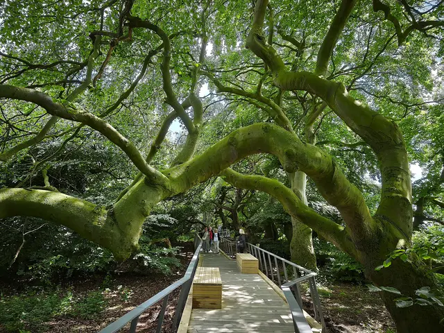 Hier kann man sich sogar auf den Sitzbänken niederlassen und das einmalige Ambiente genießen. | Foto: Shima Mahi