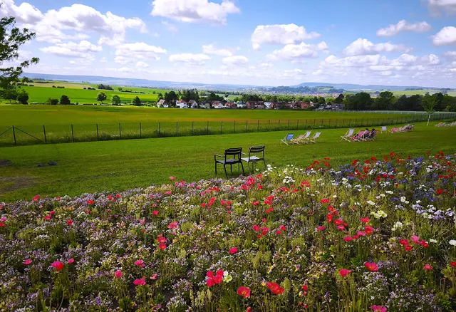 Auf dem Panoramaweg: Blick über bunte Blumenwiesen hinaus in die herrliche Landschaft | Foto: Shima Mahi
