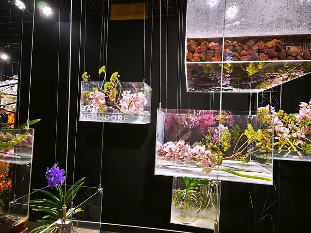 In der Blumenhalle | Foto: Shima Mahi