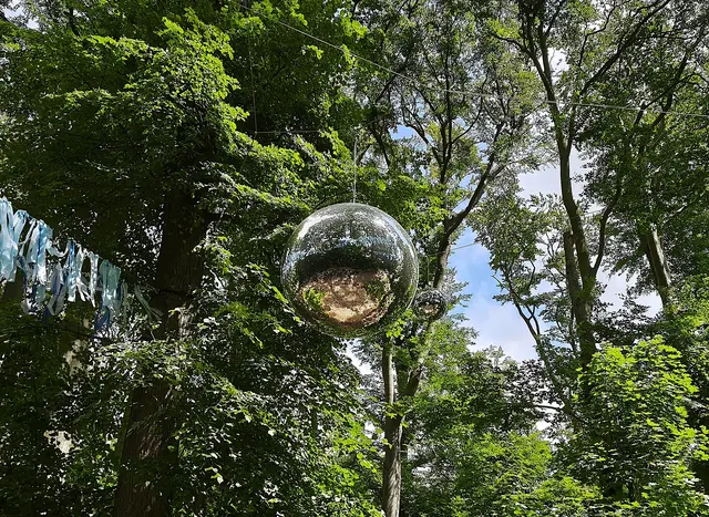 Discokugel im Wald | Foto: Shima Mahi