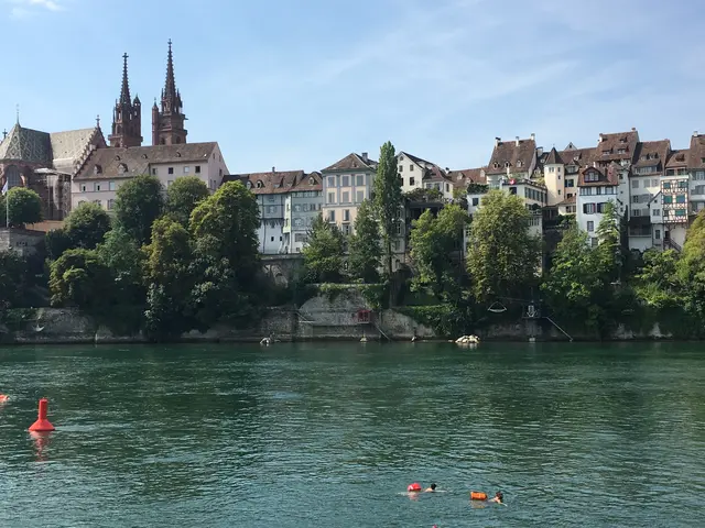 Schwimmer im Rhein