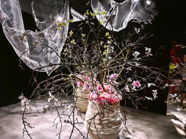 Zartes Kunstwerk mit Spiegelungen | Foto: Shima Mahi