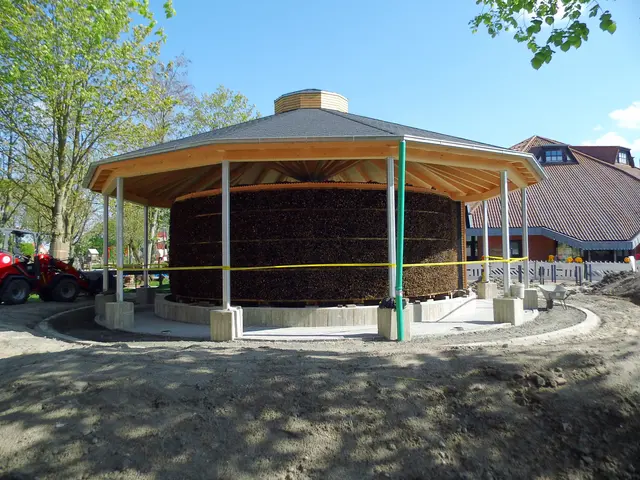 Entstehung eines Gradierwerks in Greetsiel | Foto: Siegmund Walter, 08.05.2026