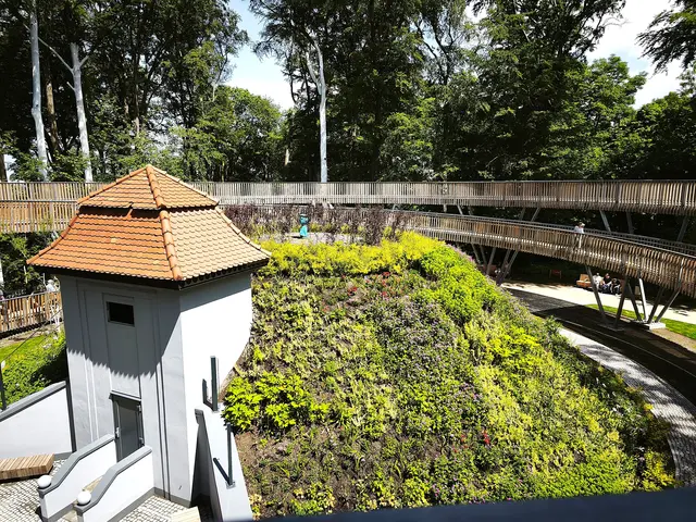 Der Waldtempel: In der Mitte des Hügels befindet sich ein Wasserreservoir und um ihn herum führt ein Baumwipfelpfad. | Foto: Shima Mahi