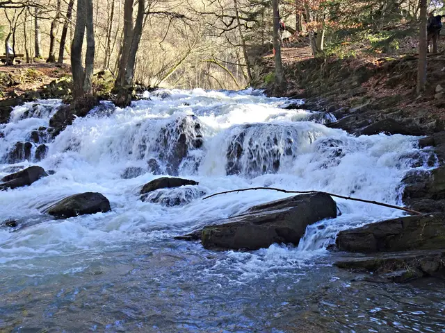 Selkefall zwischen Alexisbad und Mägdesprung