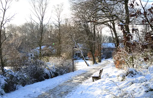 Winter am Hainpark mit Blick auf das Bildungszentrum.