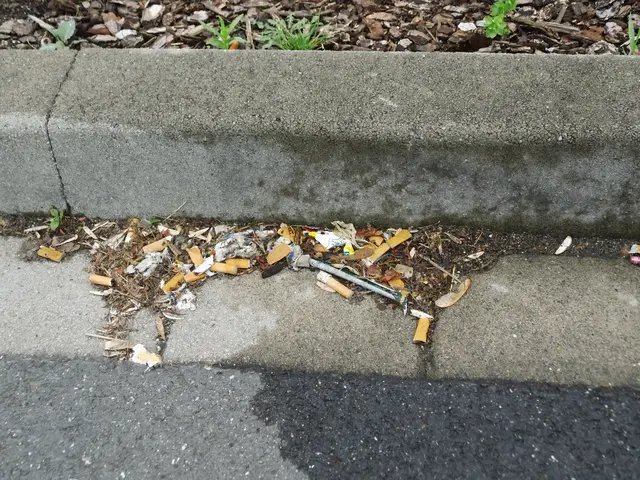 Zigarettenkippen am Randstein (Parkplatzrand)
Ort: Kaufland-Parkplatz, Rudolf-Diesel-Straße in Wesel
Sachstand: 06.06.2026  | Foto: Siegmund Walter, 06.06.2026, 15:37 Uhr