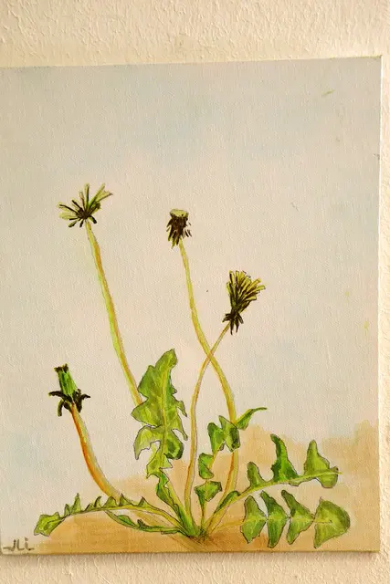 Löwenzahn von Ulrike Steiner.