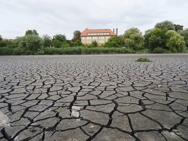 So wie 2018