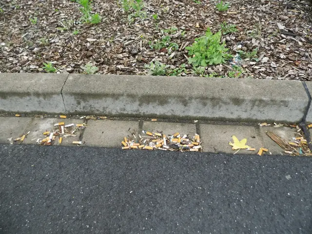Zigarettenkippen am Randstein (Parkplatzrand)
Ort: Kaufland-Parkplatz, Rudolf-Diesel-Straße in Wesel
Sachstand: 06.06.2026  | Foto: Siegmund Walter, 06.06.2026, 15:36 Uhr