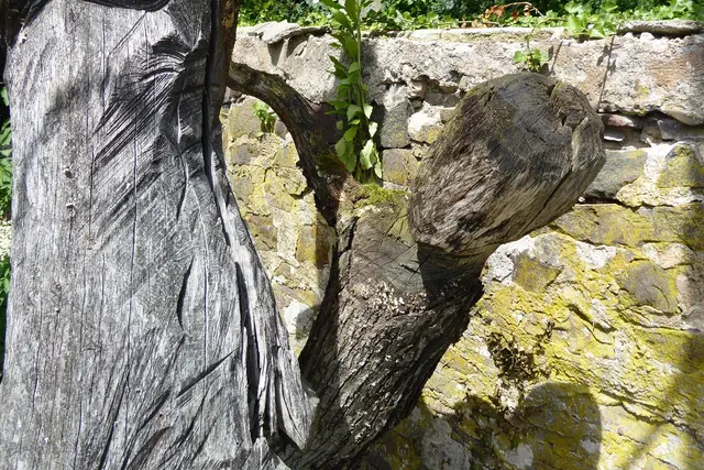 So ist Hexe 1 jetzt in Schräglage zwischen Hexe 2 und Mauer gebogen.
