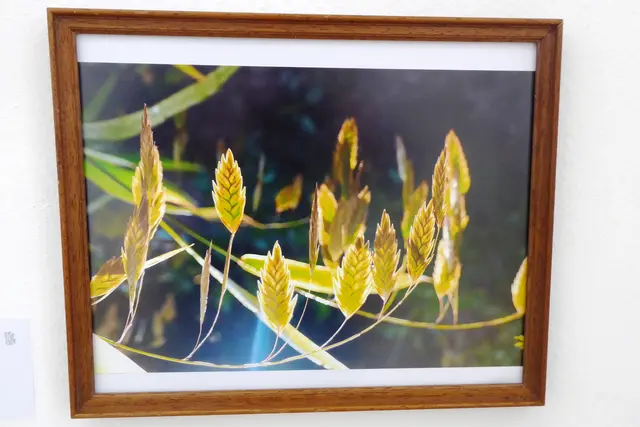 Ohne Titel von Ingrid Vajen.