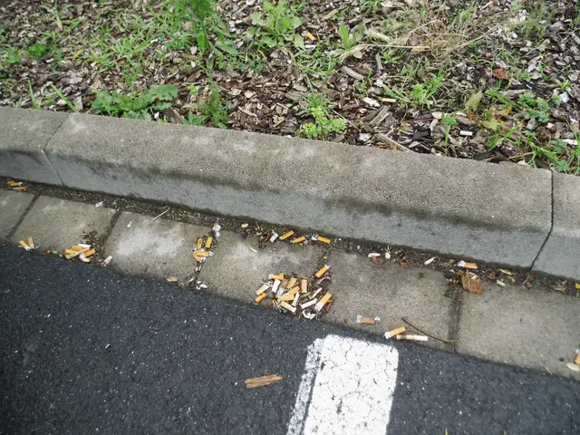 Zigarettenkippen am Randstein (Parkplatzrand)
Ort: Kaufland-Parkplatz, Rudolf-Diesel-Straße in Wesel
Sachstand: 06.06.2026  | Foto: Siegmund Walter, 06.06.2026, 15:37 Uhr