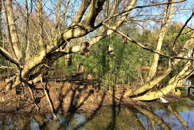 Inselgeister. 17 geschnitzte Holzköpfe sollen die Brutstätten der Schwäne an der Düssel schützen (Arno Bortz in Zusammenarbeit mit den Kindern).

 | Foto: copyright Margot Klütsch