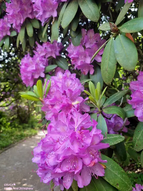 FARBEN♥