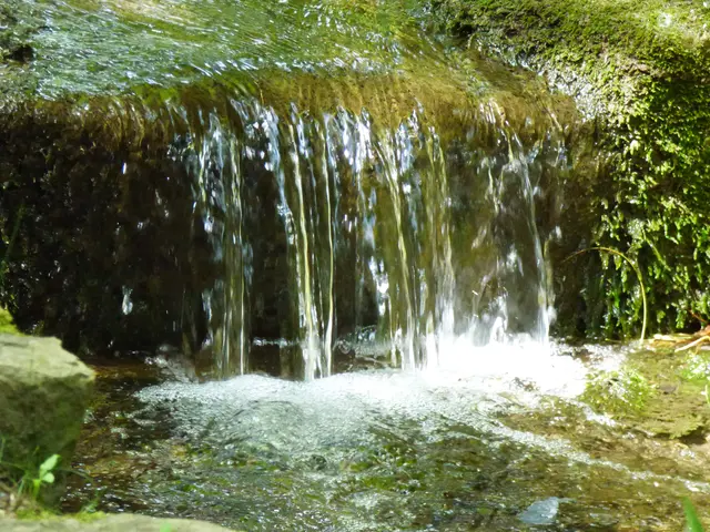 Der kleine Wasserfall im Park