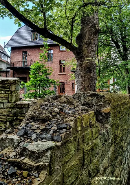 anderSehen in SOEST