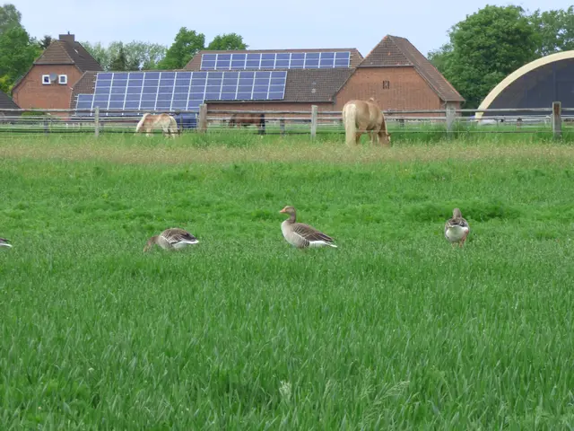 Blick auf einen Bauernhof