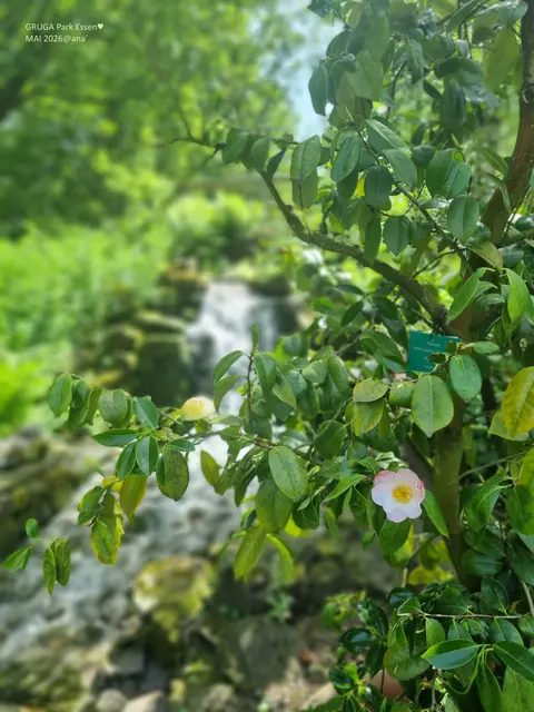 seufz

im GRUGA Park