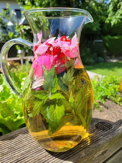 Sommerlimonade | Foto: Sachgebietsleitung Stadtbibliothek