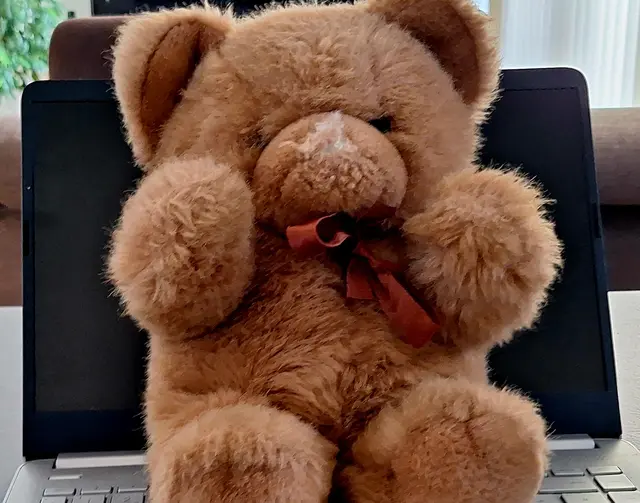 Brummbär lebt noch immer bei uns.