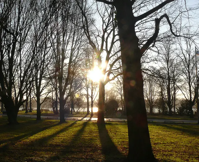 Am Maschsee in Hannover