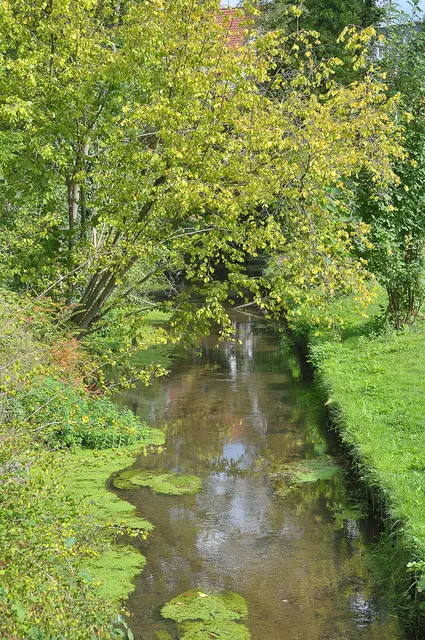 in Celle