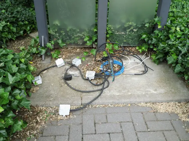 Mehrere Abzweigdosen, Steckdosen und Kabel lose auf dem Boden in einer Außenanlage im öffentlichen Raum. | Foto: Siegmund Walter, 07.06.2026, 15:38 Uhr