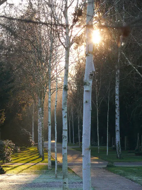 Auf dem Engesohder Friedhof in Hannover