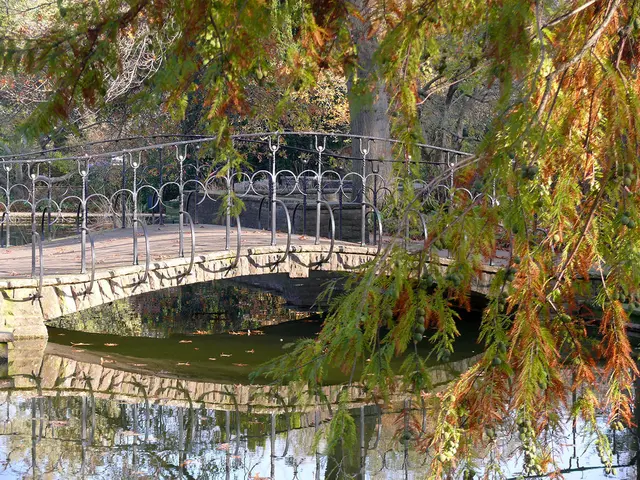 Im Stadtpark