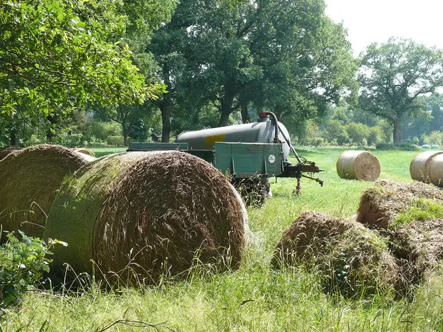 Landschaft bei Worpswede