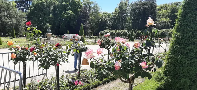 Foto: Marianne Stenglein