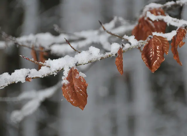 Winter in Hannover