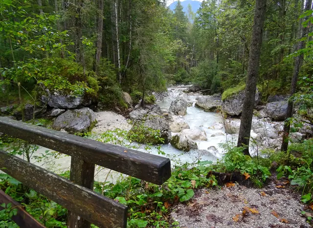 Zauberwald am Hintersee 