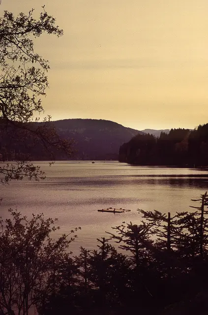 Am Titisee
