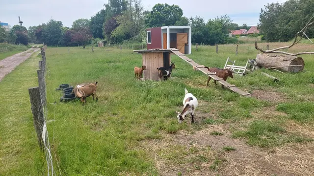 Unterwegs gesehen.