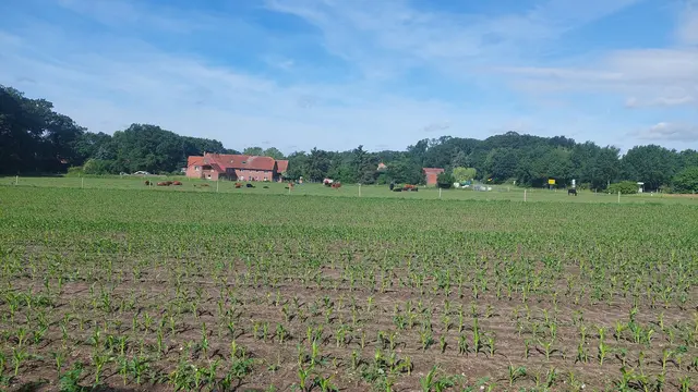 Ade Mardorf, auf dem Weg nach Steinhude.