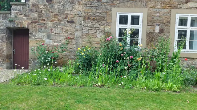 Blumen am Mauerwerk, hübsche anzusehen.