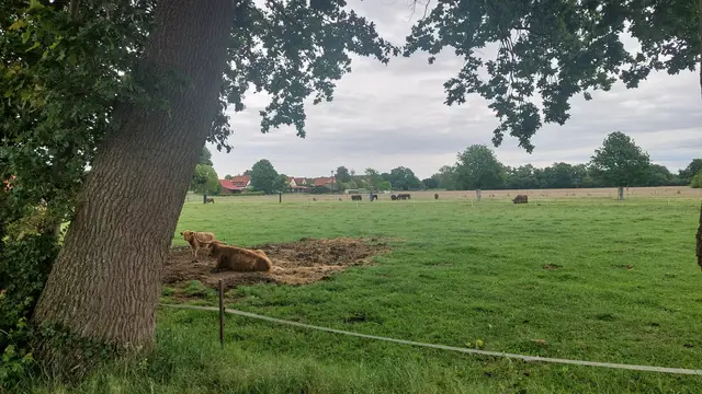 Natur pur.