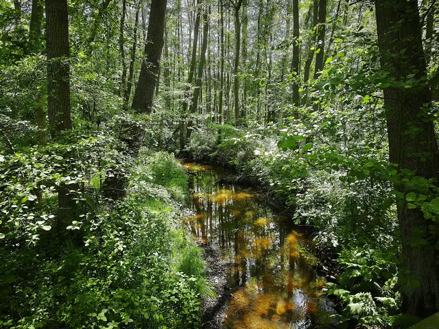 Natur pur | Foto: Shima Mahi
