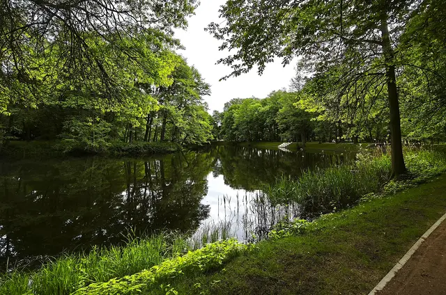 Rund um die beiden Teiche sind die Wege und Ufer neu gestaltet worden. | Foto: Shima Mahi